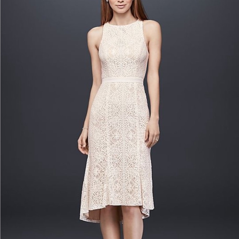 Sleeveless Lace Midi Dress in Blush